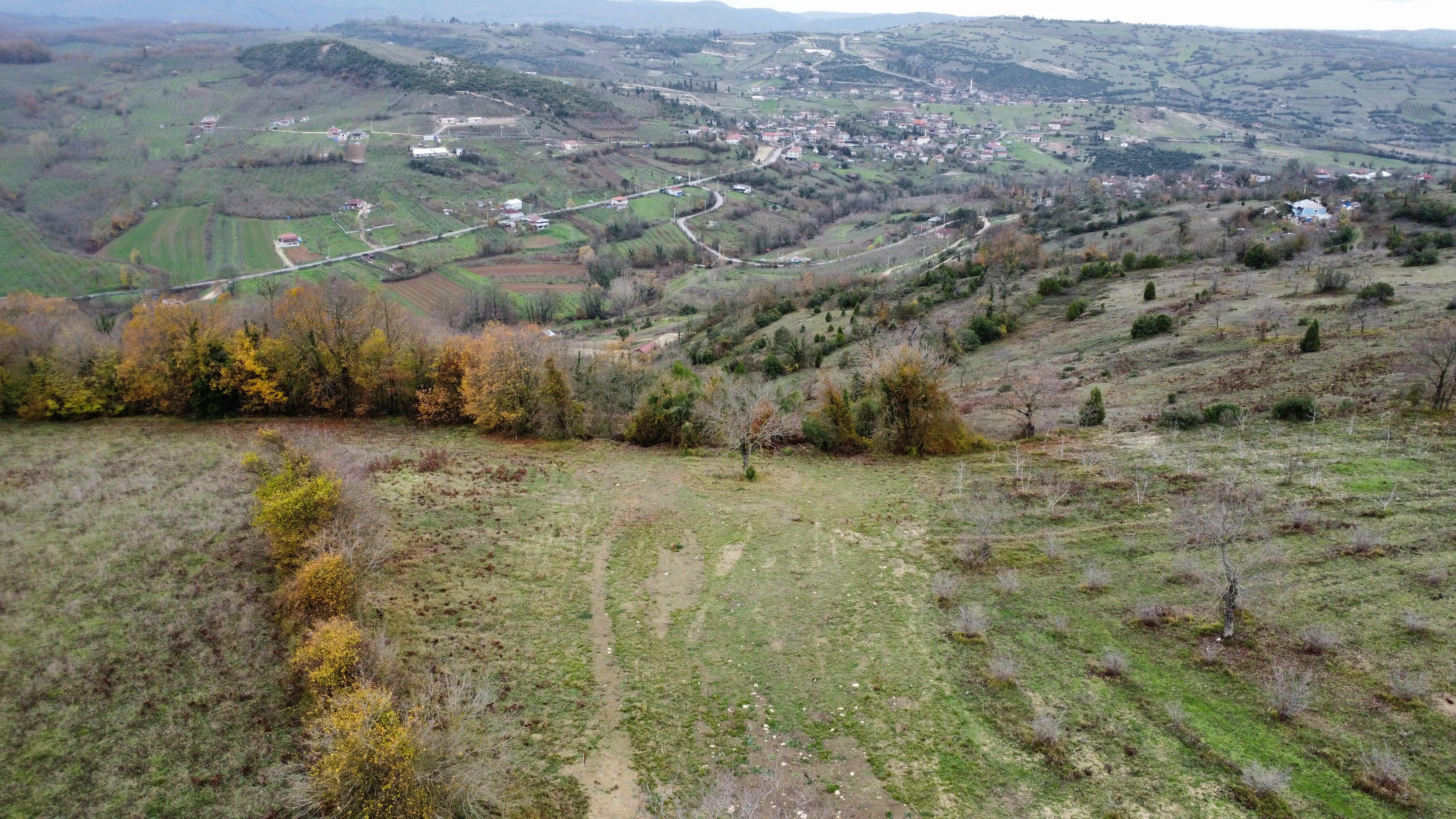 Kandıra Çalca'da Zirvede Satılık Resmi Yollu Tarla