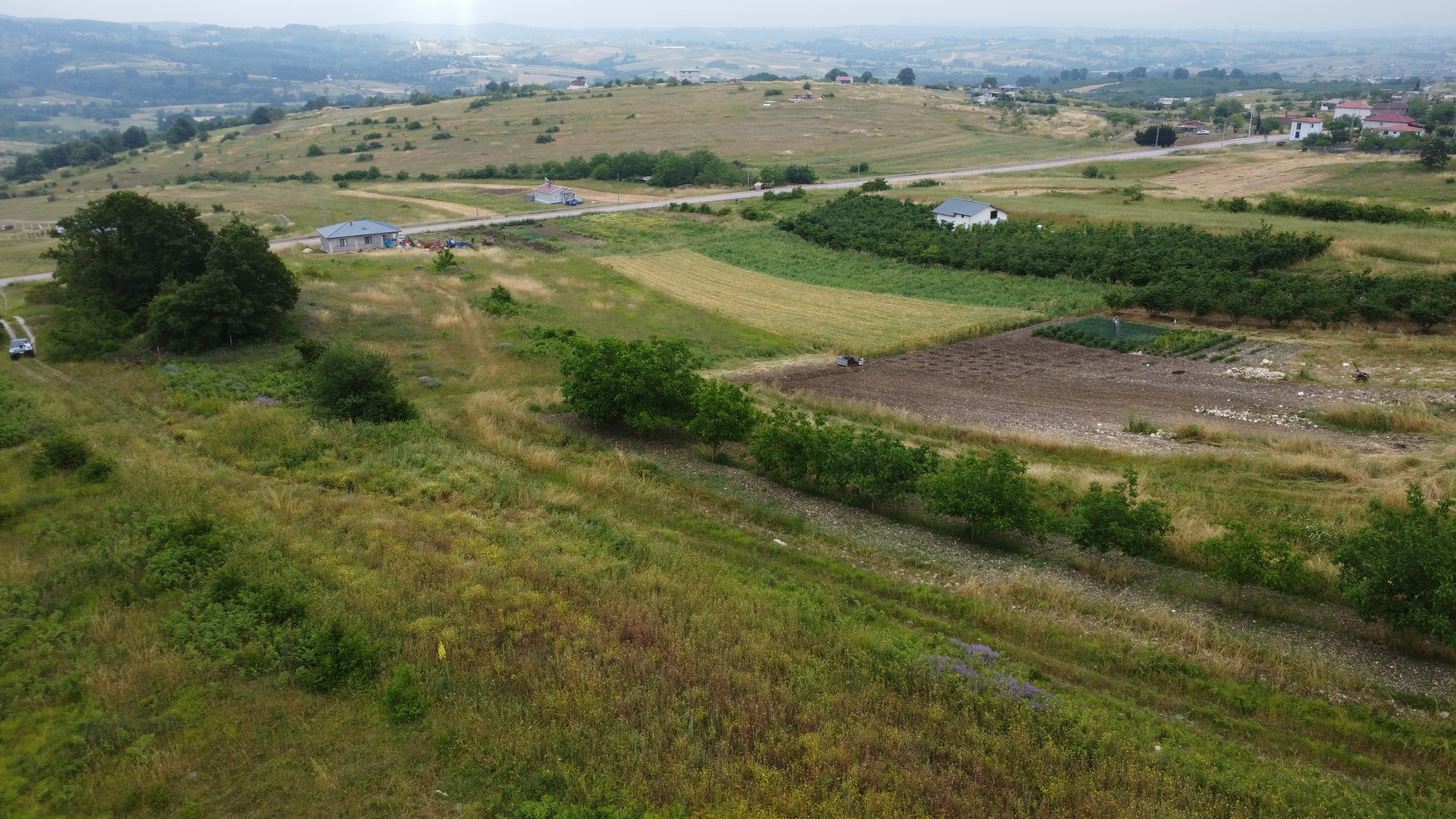 Kocaeli Kandıra Ağaçağıl'da Satılık Asfalta Bir Parsel Tarla