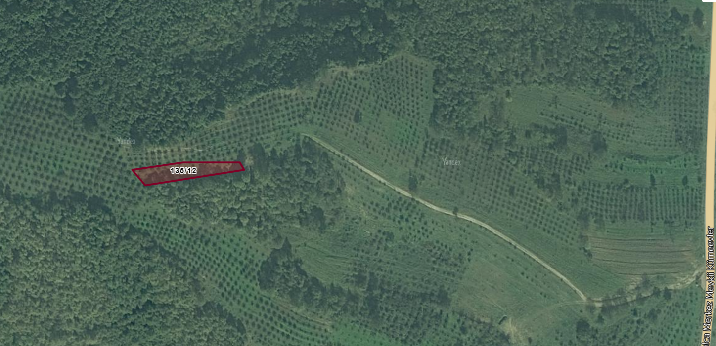 Kocaeli Kandıra Çalca'da Satılık Resmi Yollu  Fındık Bahçesi