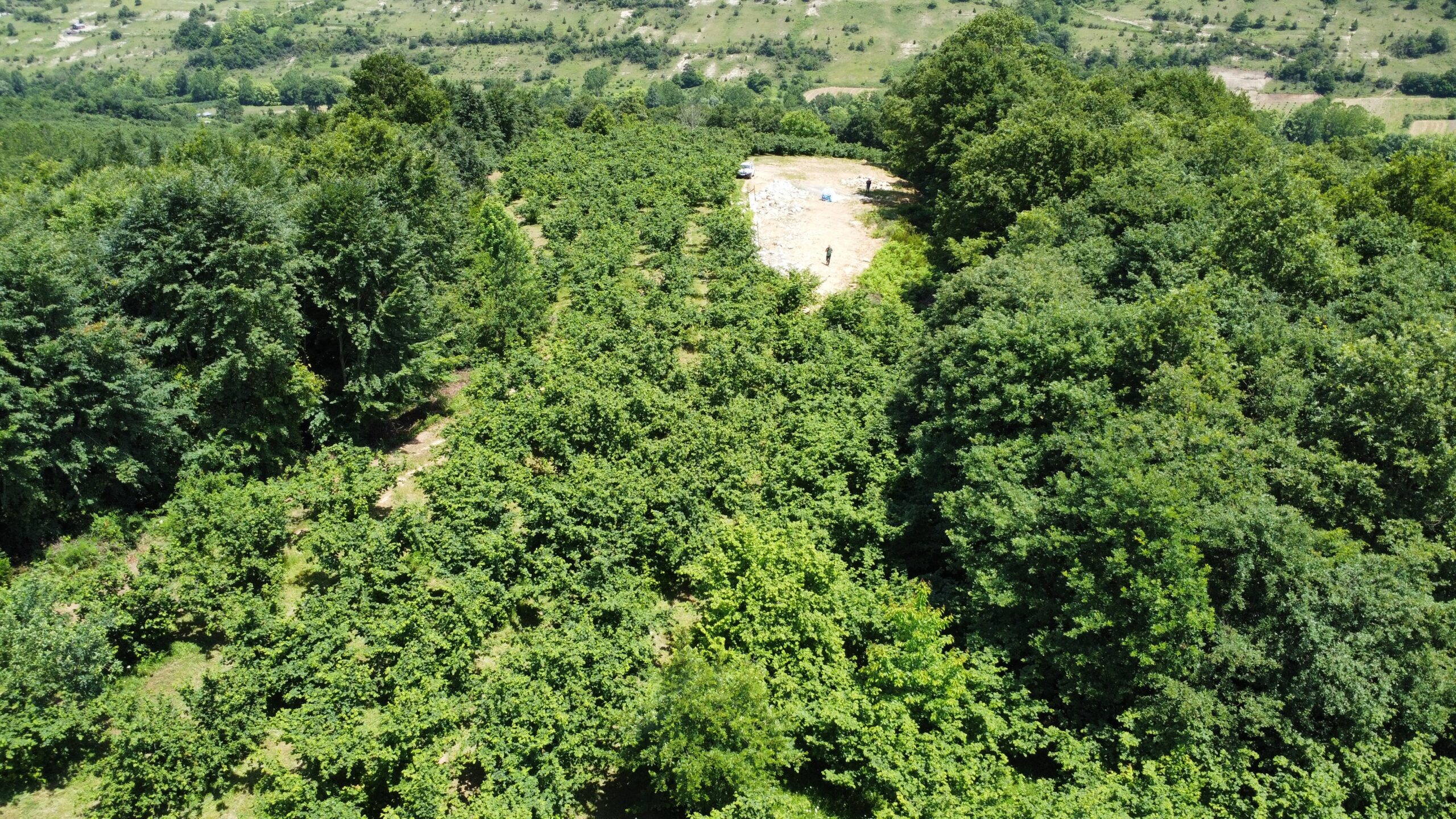 Kocaeli Kandıra Çalca'da Satılık Resmi Yollu  Fındık Bahçesi
