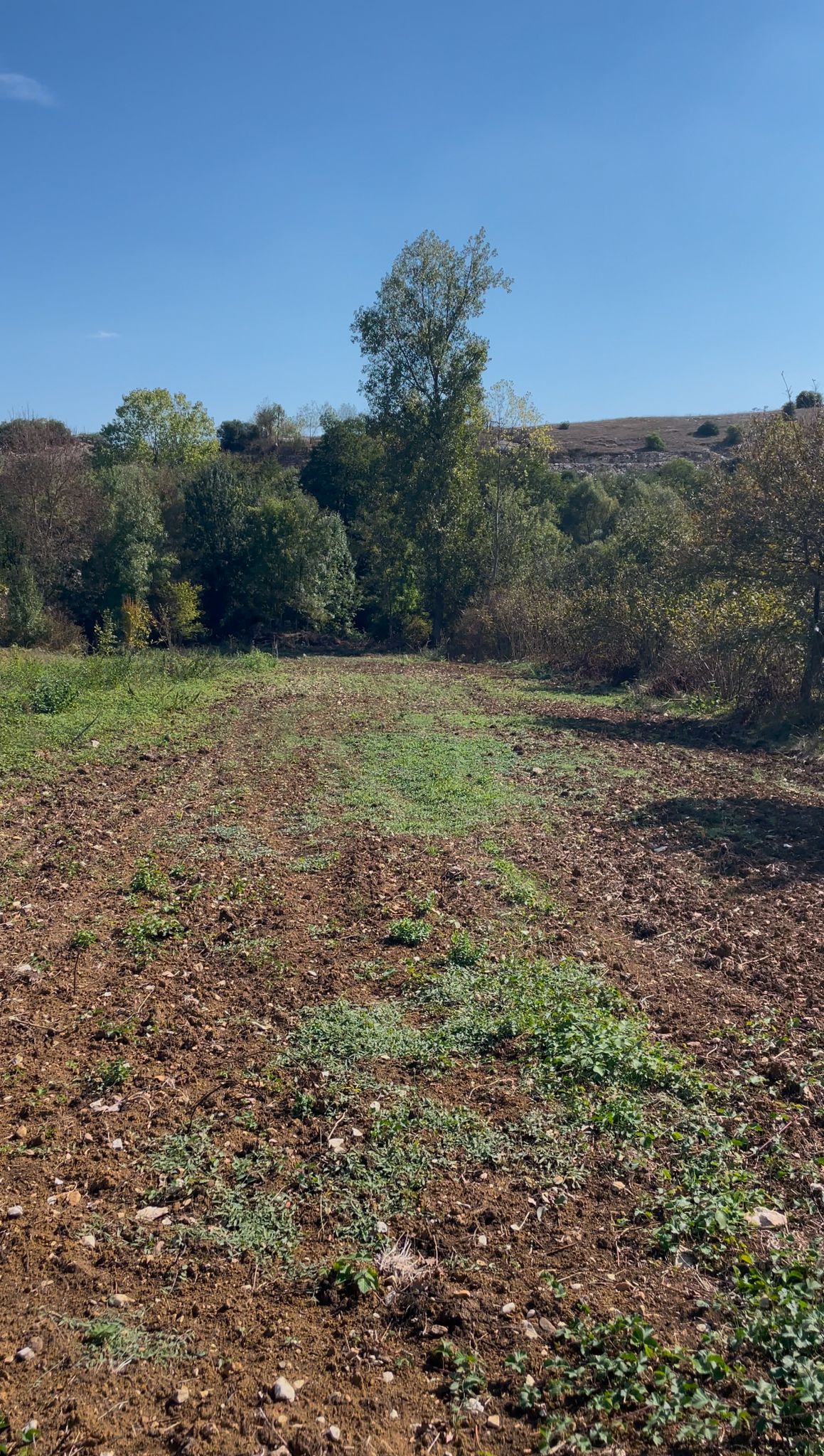 Kocaeli Kandıra Deliveli'de Satılık Dere Kenarında Tarla