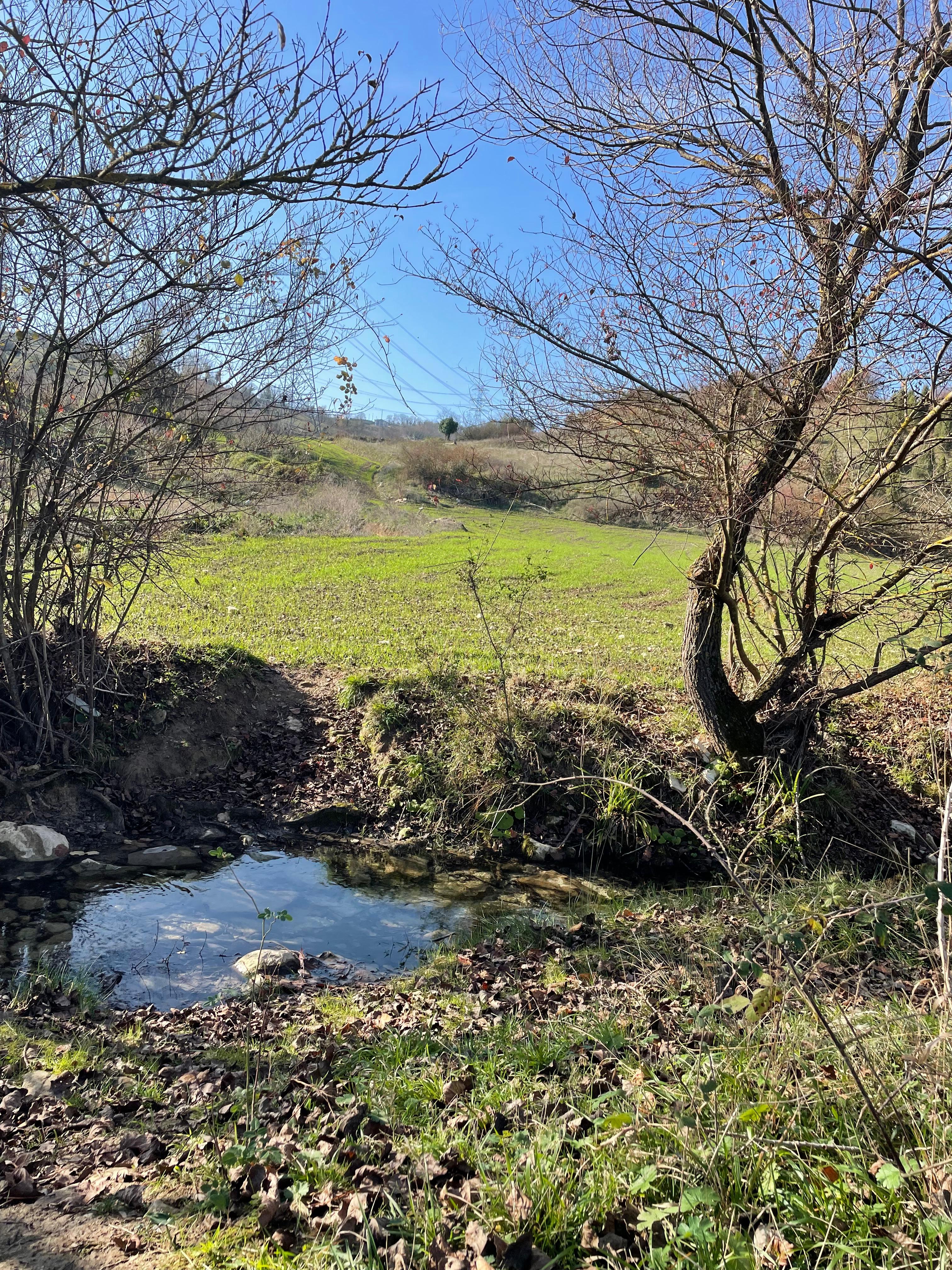 Kocaeli Kandıra Nasuhlar'da Satılık Dönümlü Tarla