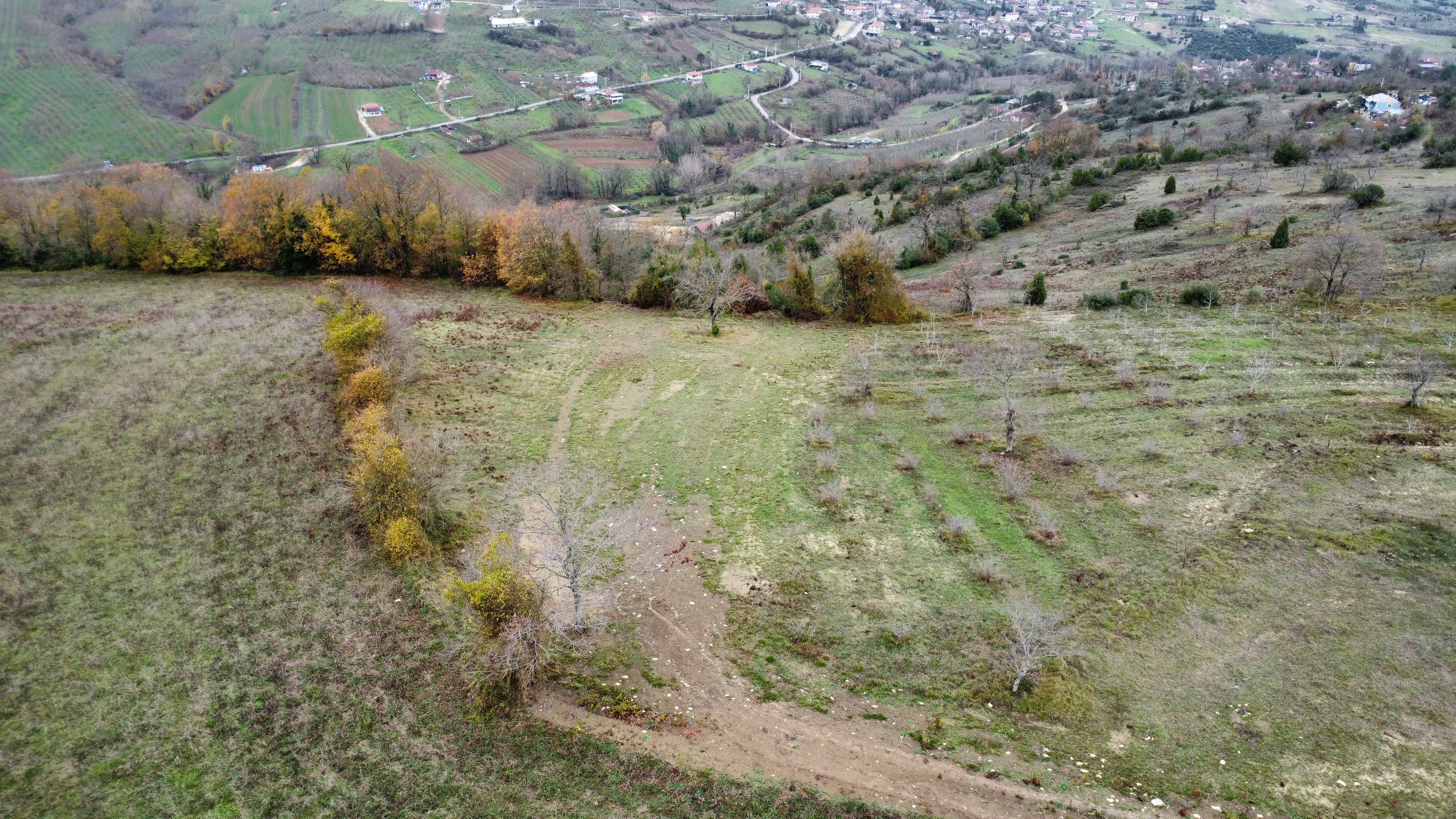 Kandıra Çalca'da Zirvede Satılık Resmi Yollu Tarla