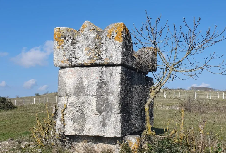 Ağaçağıl