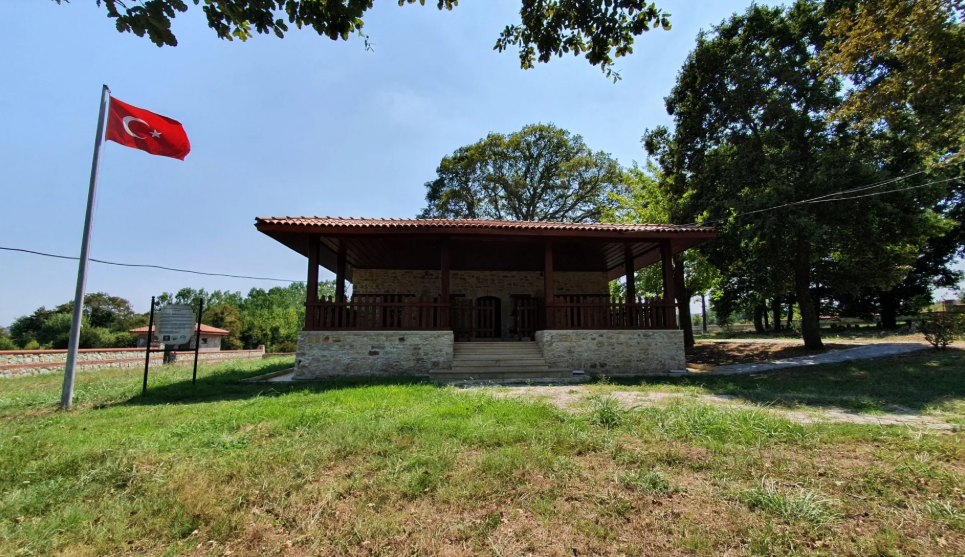 Ağaçağıl